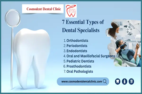 Types of Dental Specialists